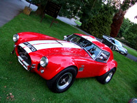 GT40E & Cobras 2007